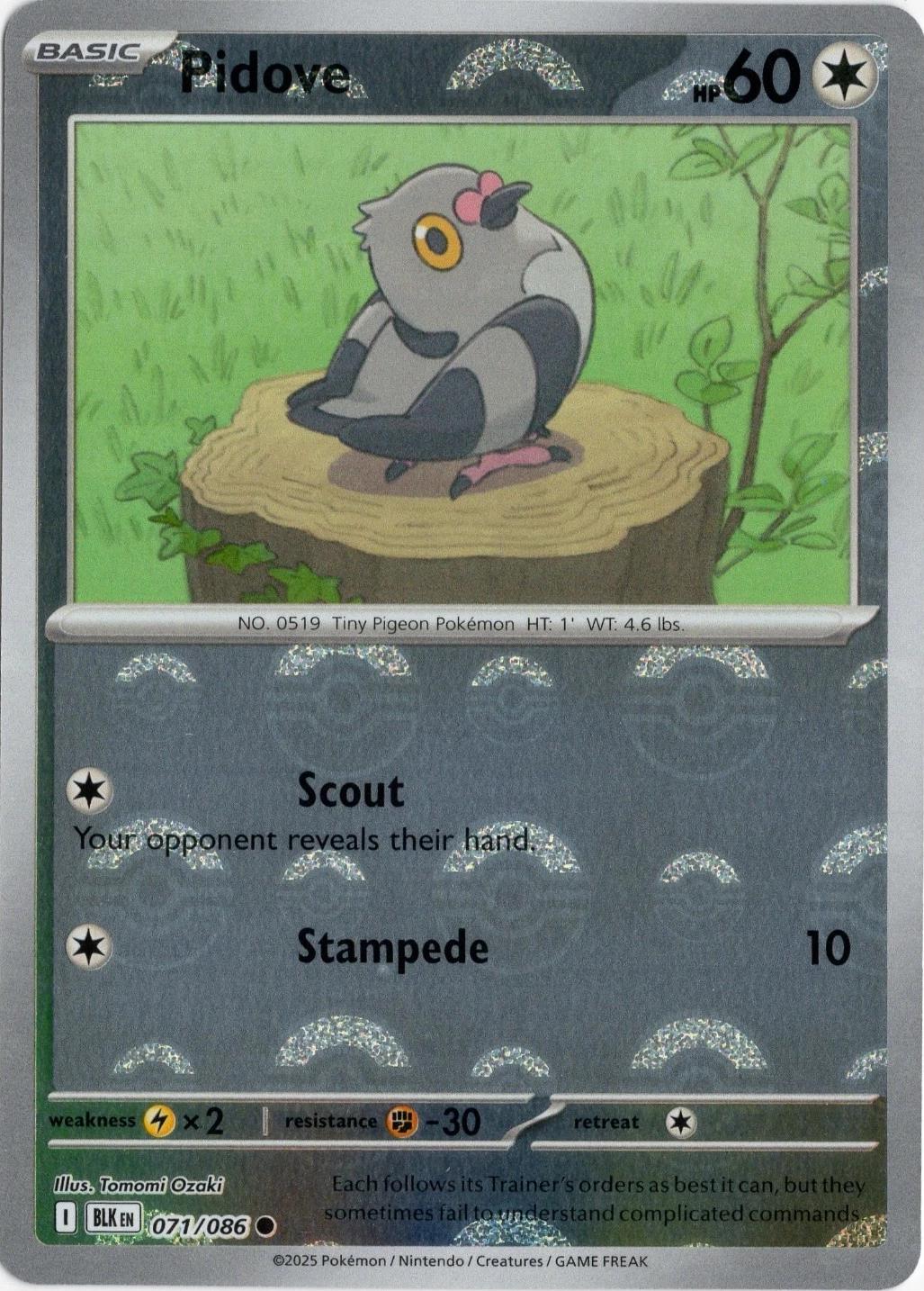 Pidove [Poke Ball] #71 Pokemon Black Bolt