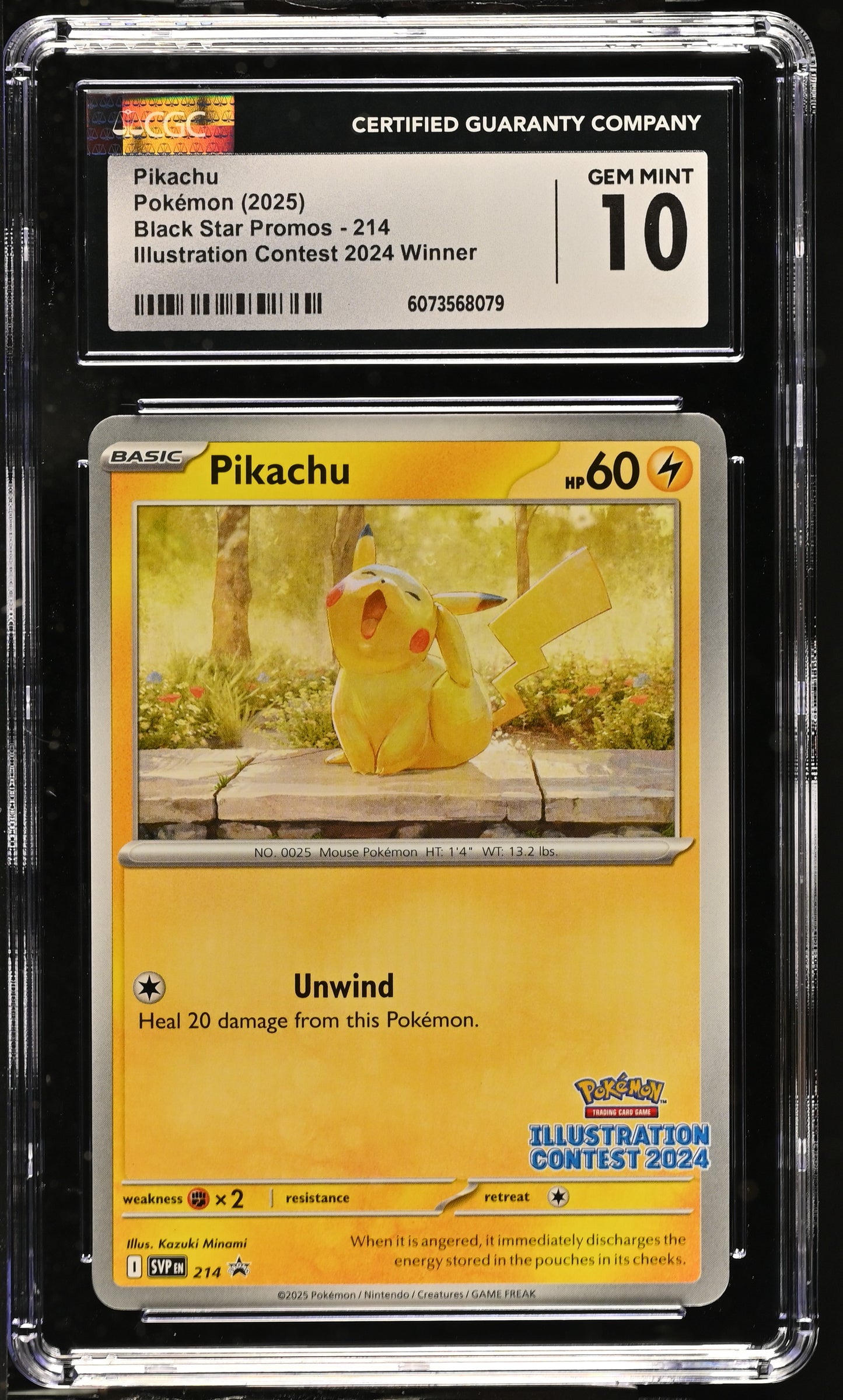 Pikachu Black Star Promos #214 10 (GEM MINT) Illustration Contest 2024 Winner