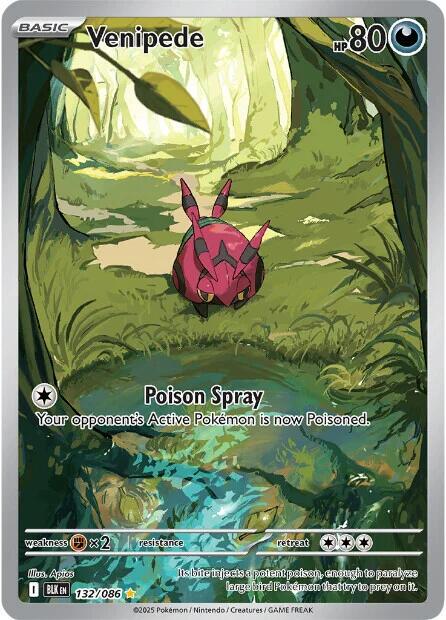Venipede #132 Pokemon Black Bolt